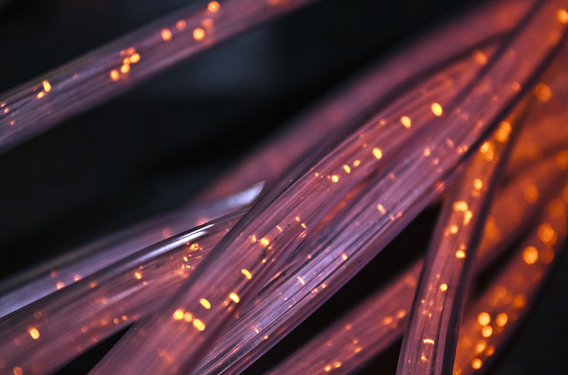 visuel fibre copy