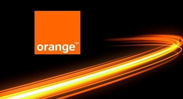logotrainee